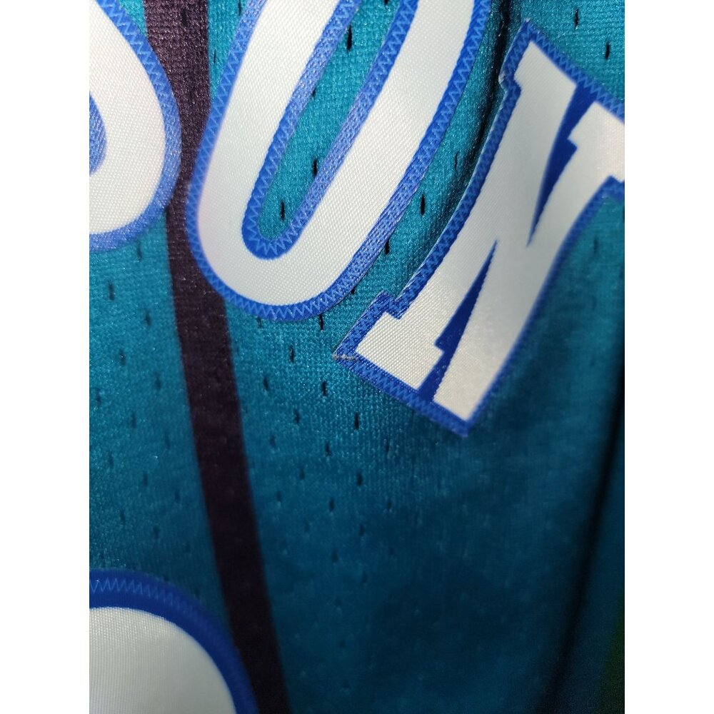 Charlotte Hornets Larry Johnson Mitchell and Ness Hardwood Classics Jersey Men's - Picture 7 of 8